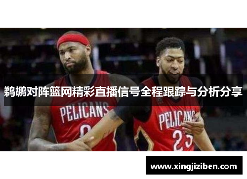 鹈鹕对阵篮网精彩直播信号全程跟踪与分析分享